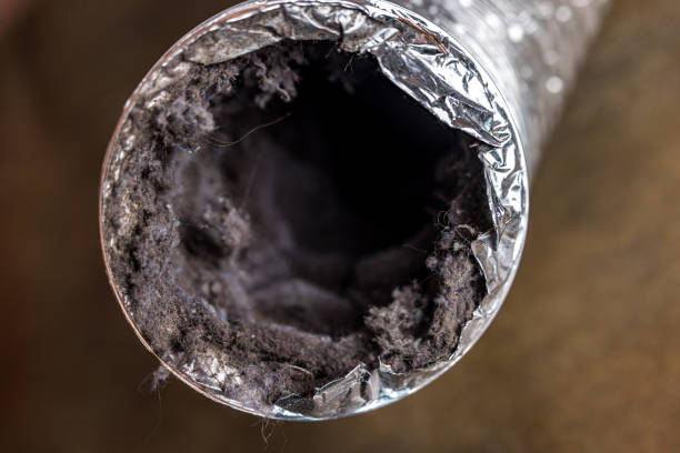 Best Air Duct Cleaning Near Me  in Ford Heights, IL